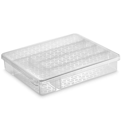 Organizador Multiuso Plástico C/Tampa 35,X29,6x6cm (662-Tr) Uz